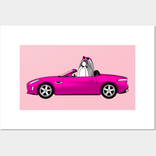 Dog and Car SHIHTZU Posters and Art